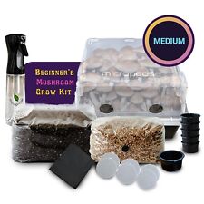 Medium beginners mushroom for sale  Scottsdale