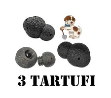 Tartufi per addestramento usato  Italia