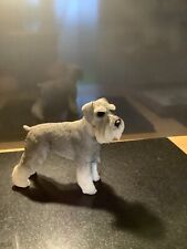 Standard schnauzer dog for sale Standard schnauzer dog for sale  FRESHWATER