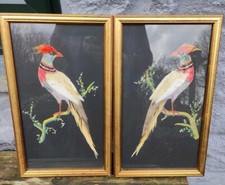 Pair antique feather for sale  PLYMOUTH