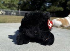 Classic licorice cat for sale  Washington