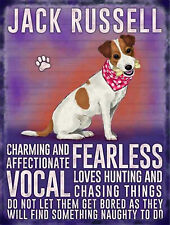 Jack russell metal for sale  UK