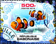 Tier wildtier fisch gebraucht kaufen  Unna