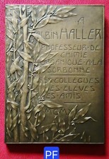 Belle plaque méd. d'occasion  Romorantin-Lanthenay