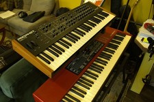 Sequential prophet rev for sale  WORCESTER PARK
