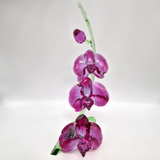 Orchids fuchsia rain for sale  ROWLANDS GILL