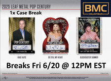 Ashley Eckstein 2025 Leaf Metal Pop Century 1x Case Break #28 comprar usado  Enviando para Brazil