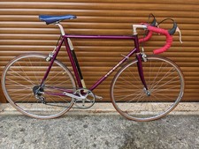 Beautiful ken bird for sale  DEREHAM