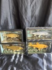 Mini set cased for sale  COVENTRY