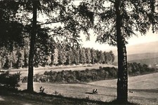Heilbad heiligenstadt eichsfel gebraucht kaufen  Bad Bergzabern