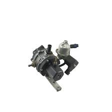 E24 10r02 polmone usato  Castagnaro