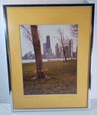 Early spring chicago for sale  Lexington