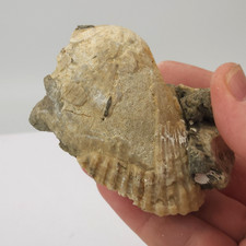 Ruck pit calcite for sale  Rockledge