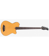Basse electrique fretless d'occasion  Paris VIII