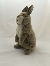 Kösen hase kaninchen gebraucht kaufen  Nürnberg