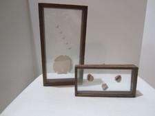 Coastal decor framed for sale  Lizella