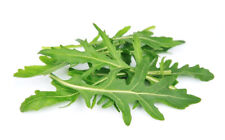 500 rocket arugula for sale  Julian