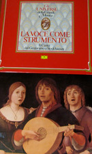 Voce come strumento usato  Reggio Calabria