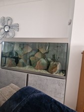 Aquarium background for sale  BURNLEY