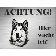 Siberian husky schild gebraucht kaufen  Deutschland