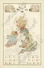 Palaeontological map british for sale  HASLEMERE