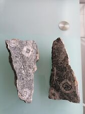 Minéraux collection diorite d'occasion  Blagnac
