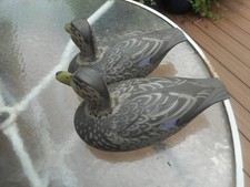 Pair victor black for sale  Stevens Point