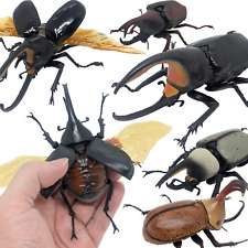Boneco Bandai Gashapon Rhinoceros Beetle grande inseto realista do vendedor JP, usado comprar usado  Enviando para Brazil