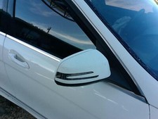 Door mirror mercedes for sale  Cocoa
