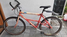 Vintage mountain bike gebraucht kaufen  Polling