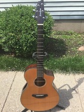 Breedlove solo concert for sale  Staten Island