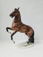 Goebel germany horse for sale  Vermilion