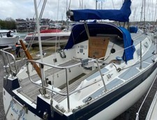 Dolphin sale. good for sale  EXETER