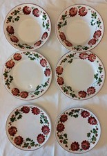 Set richard ginori usato  Italia