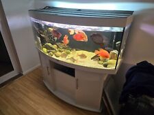 Jewel 450 fish for sale  STONEHOUSE