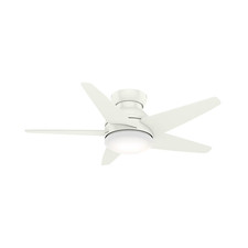 Casablanca fans isotope for sale  Warner Robins