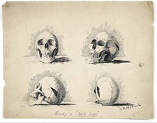 Usado, Desenho de caneta e crânios de tinta Lila Hetzel da década de 1890 comprar usado  Enviando para Brazil