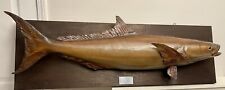 1967 taxidermy cobia for sale  Buford