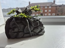 aquarium rocks for sale aquarium rocks for sale CHELTENHAM