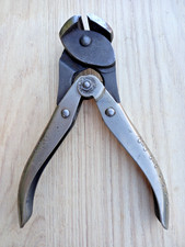 Lovely pair maun for sale Lovely pair maun for sale  DEREHAM