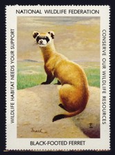 National wildlife federation for sale  Warrington