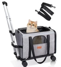 Morpilot pet cat for sale  USK