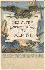 Alpini battaglione val usato  Rovigo