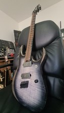 Ibanez axion label for sale  LEICESTER