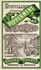 Ancienne étiquette peppermint d'occasion  Bordeaux-