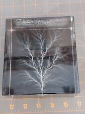 Captured lightning lichtenberg for sale  Gainesville
