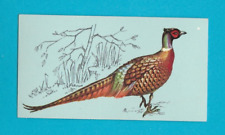 British birds tetley for sale  CANTERBURY