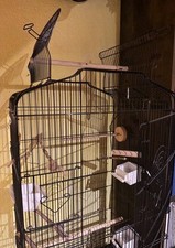 Vögel käfig gebraucht kaufen  Schopfheim