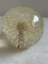 Hafod grange lucite for sale  SHANKLIN