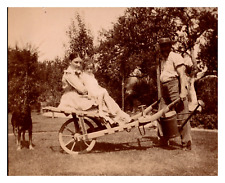 Jardin wheelbarrow circa d'occasion  Expédié en Belgium